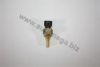 AUTOMEGA 1013380441 Sensor, coolant temperature